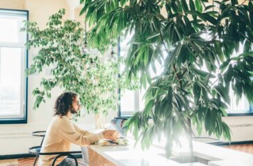 Biophile Büroplanung : Integration von Natur