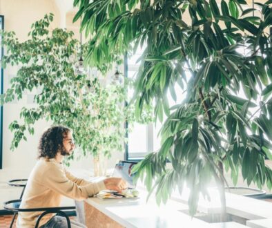 Biophile Büroplanung : Integration von Natur